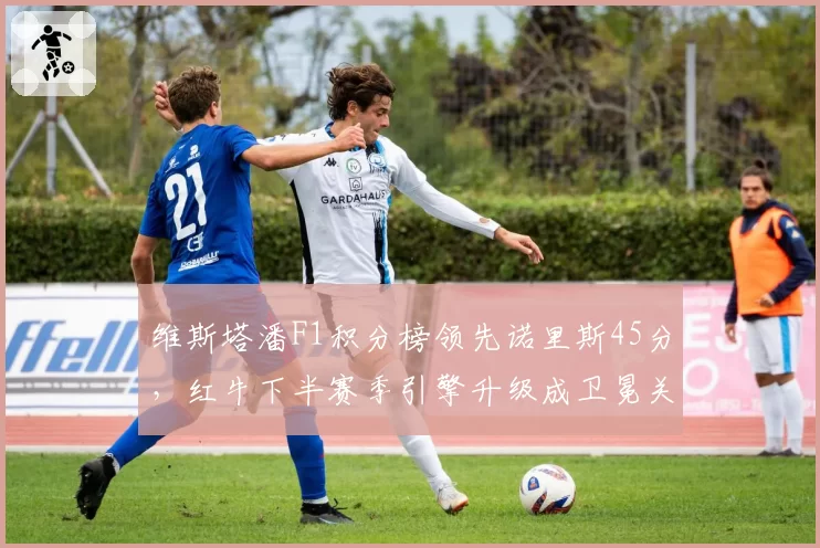 维斯塔潘F1积分榜领先诺里斯45分，红牛下半赛季引擎升级成卫冕关键